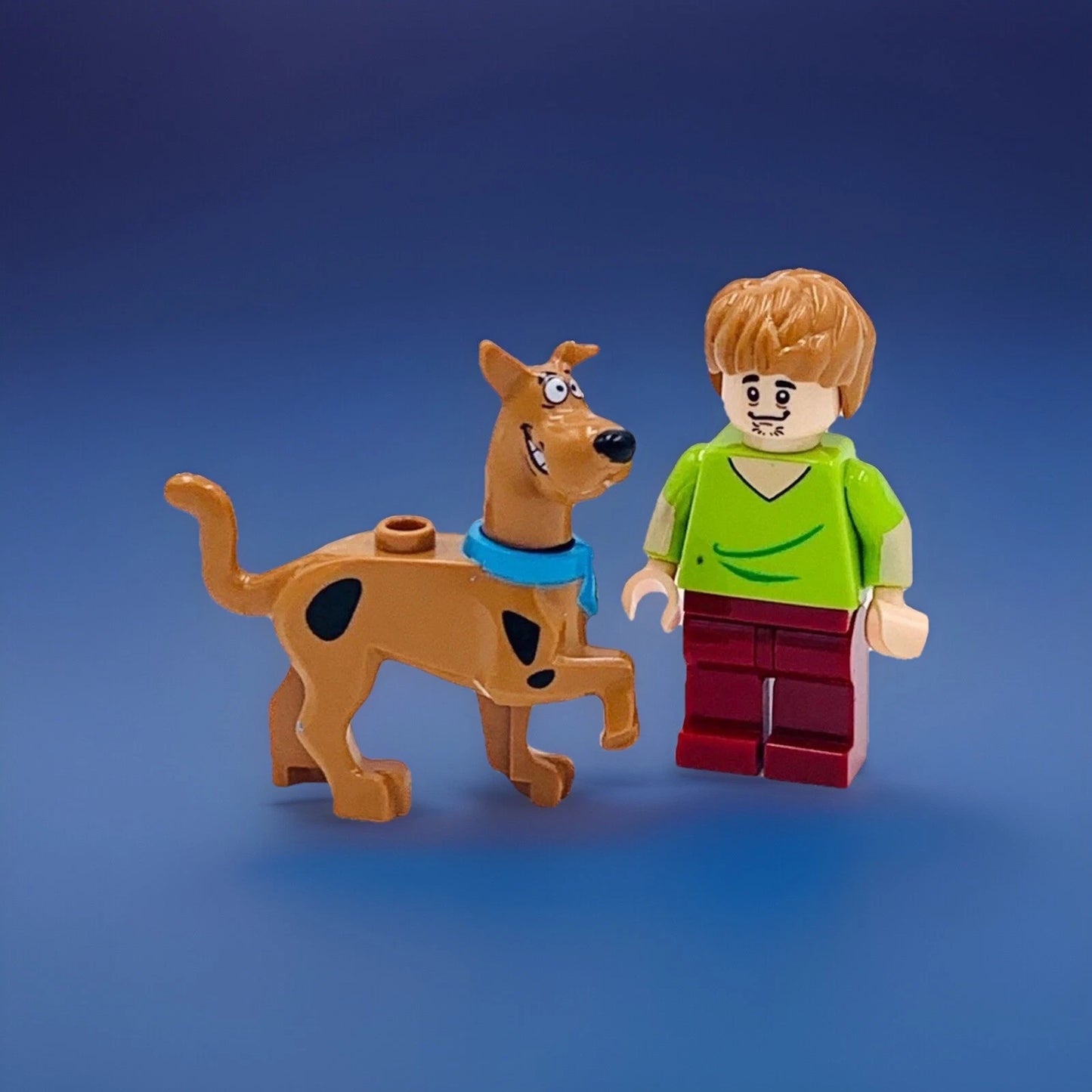 #0441 - Scooby Doo & Shaggy